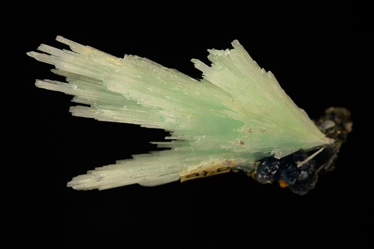 METAVAUXITE with VAUXITE
